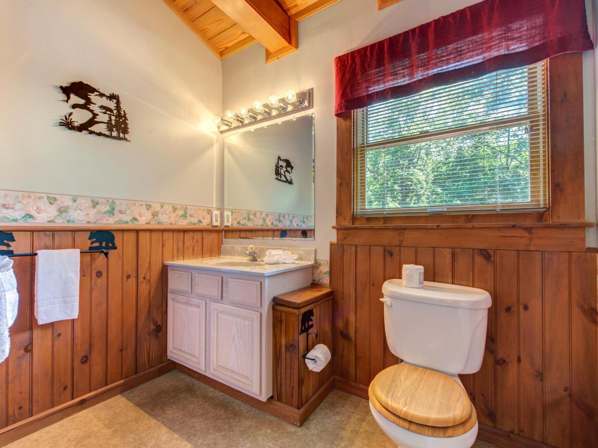 Villa Buckhorn à Gatlinburg Extérieur photo